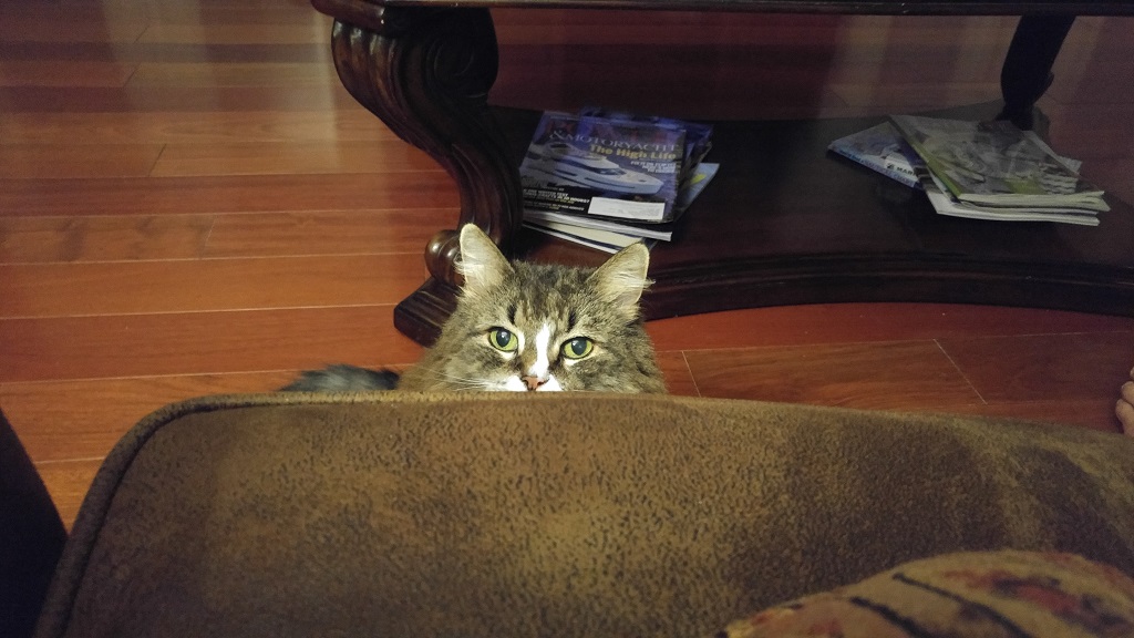 Pictures from what's been happening in 2018